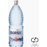 Borsec Apă minerală naturală plată 2L cu SGR