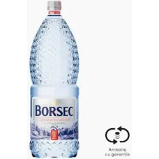 Borsec Apă minerală naturală plată 2L cu SGR