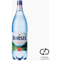 Borsec Apă minerală naturală carbogazoasă 1.5L cu SGR