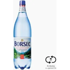 Borsec Apă minerală naturală carbogazoasă 1.5L cu SGR