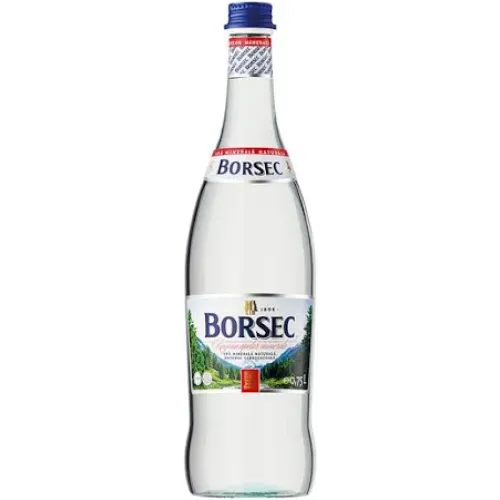 Borsec apă minerală carbogazoasa 0.75L