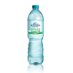 Bucovina apă minerală naturală plată 1L